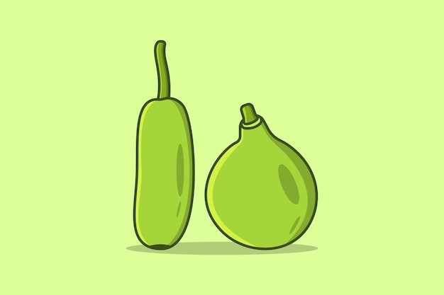 130+ Drawing Of A Bottle Gourd Illustrations, Royalty-Free Vector Graphics  & Clip Art - iStock