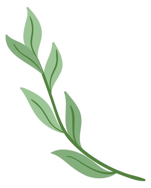 녹색 분기 장식 식물 요소 꽃 무늬 프린트