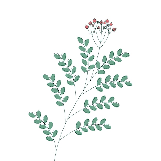 Зеленая ветка с цветами и ягодами на белом фоне Растительный элемент для дизайна