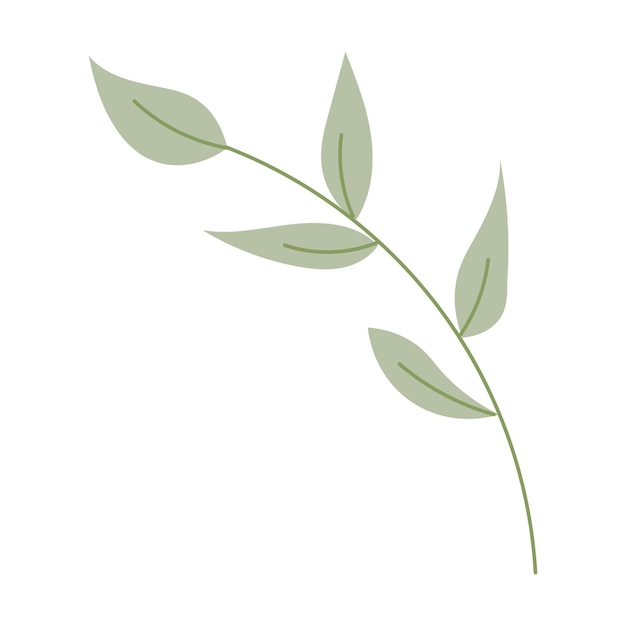 Vector green branch with leaves on white background