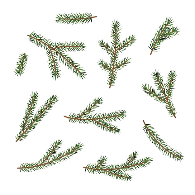 크리스마스 트리, 세트, 절연의 녹색 가지