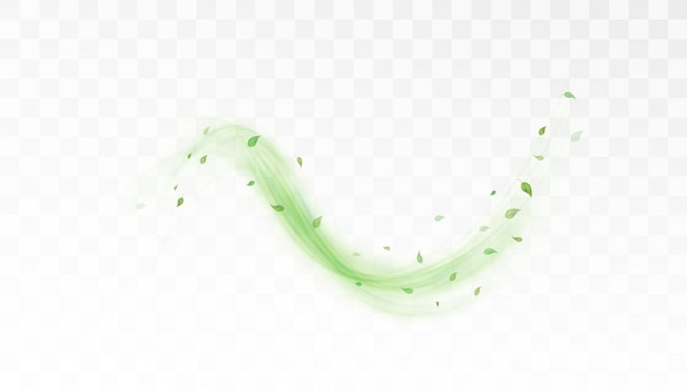 green bright lines of light with tea and mint leaves on white background design for cooling drinks