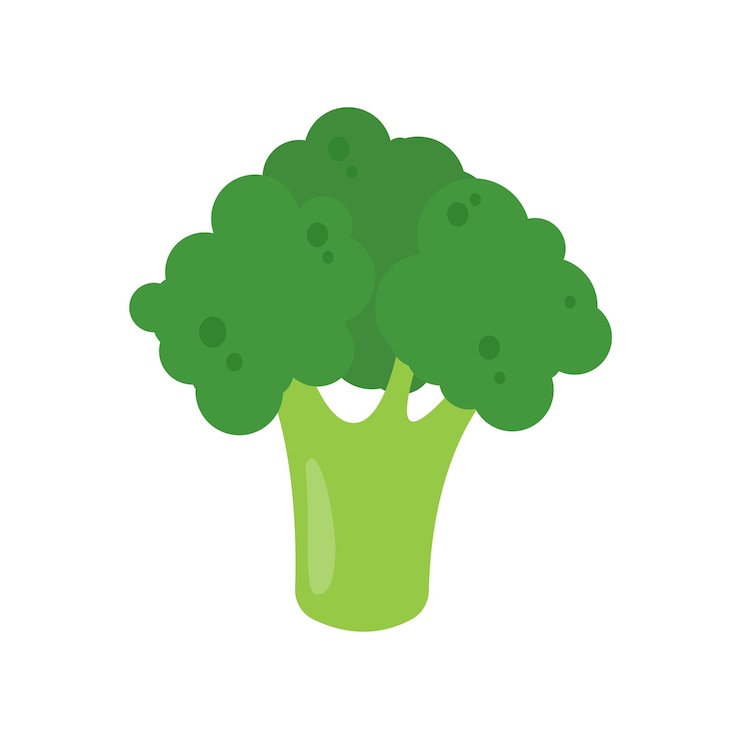 Vector green broccoli healthy vegetables for kids