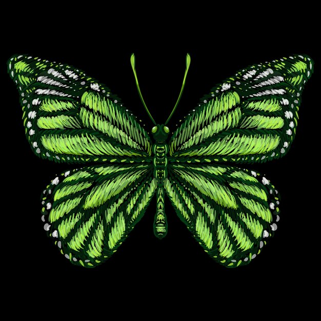 Vector green butterfly on dark