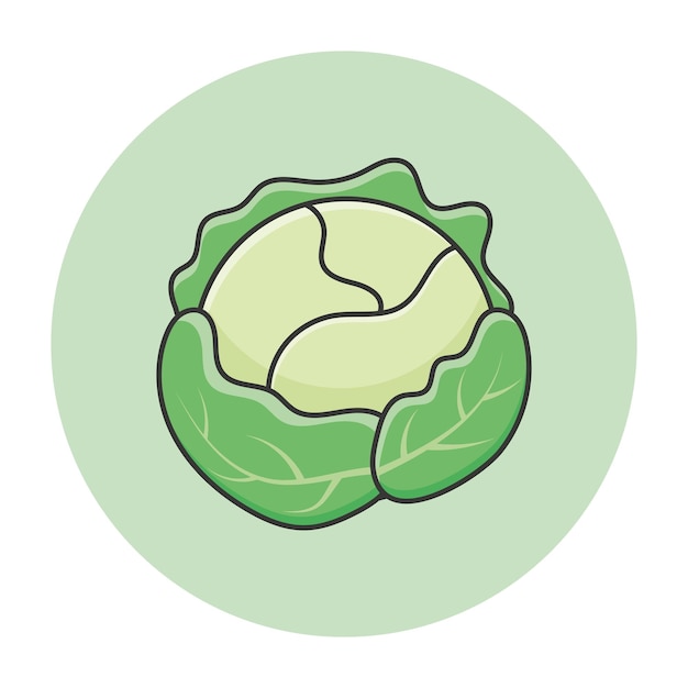 green cabbage icon