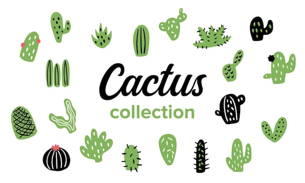 Green cactus illustration vector collection