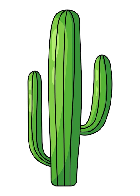 A green cactus isolated on the white background