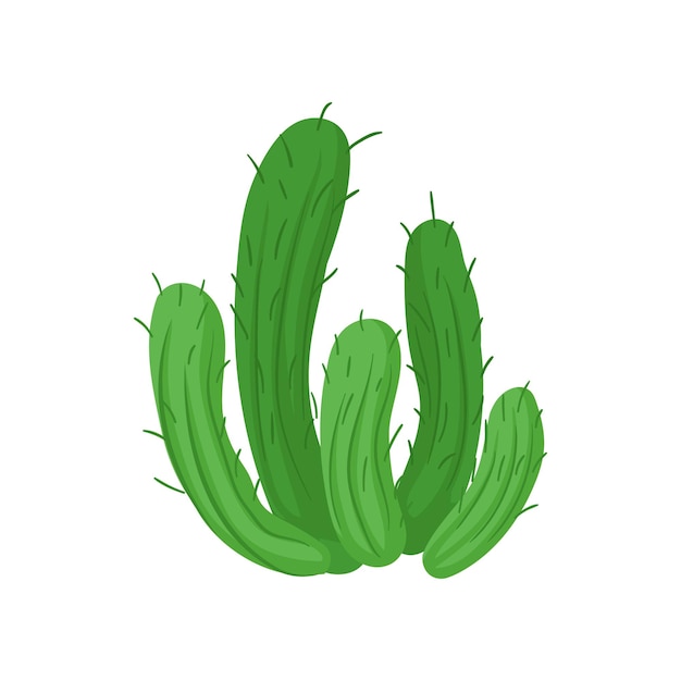 Illustrazione di vettore di pianta di cactus verde su sfondo bianco