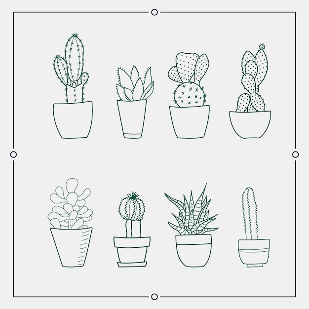 Cactus verde nelle illustrazioni di un vaso.
