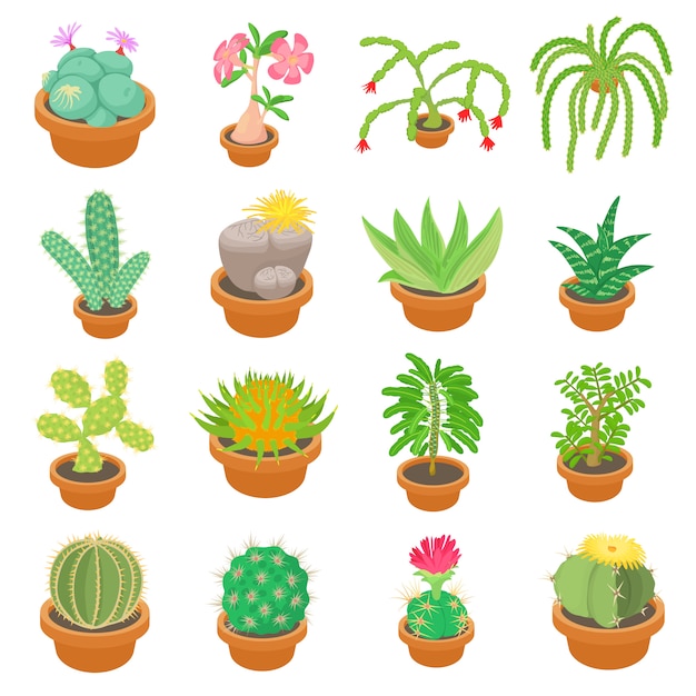 Green cactuses icons set