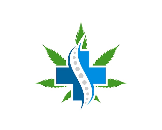 Green cannabis leaf with medical chiropractic inside