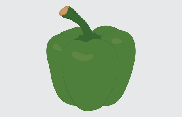 Green capsicum vector art Illustration isolated on white background