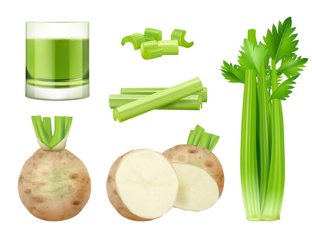 Green celery sliced pieces of vegan food green healthy smoothie decent vector pictures in realistic style