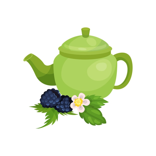 Green ceramic teapot blackberry with leaves and blossom natural herbal tea vector Illustration