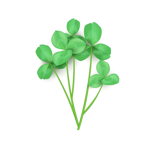 Vector green clover leaf isolated on white background. this has clipping path.
