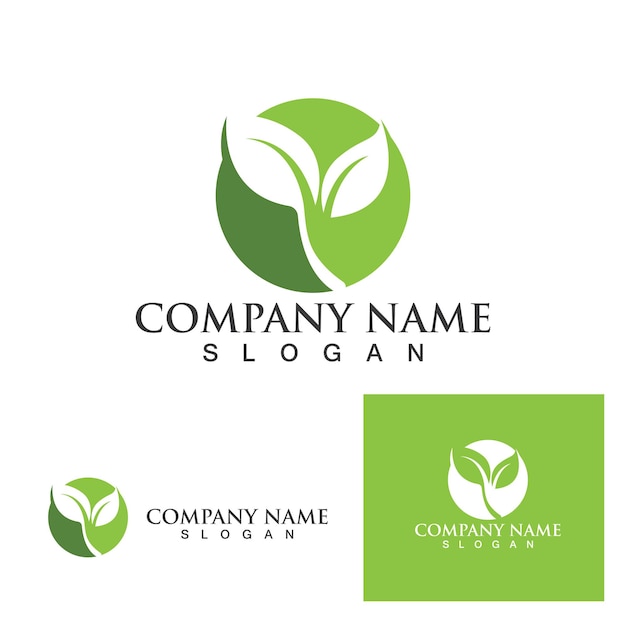 Green clover leaf logo template design