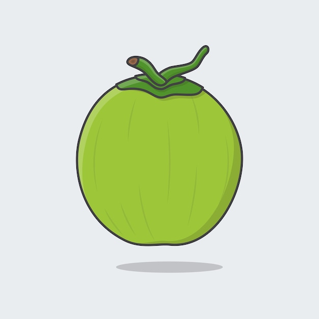 Green Coconut Cartoon Vector Illustration Fresh Young Coconut Flat Icon Outline