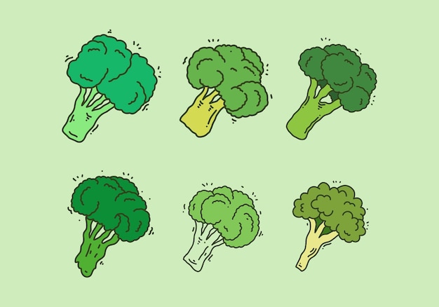 Green color of broccoli set design