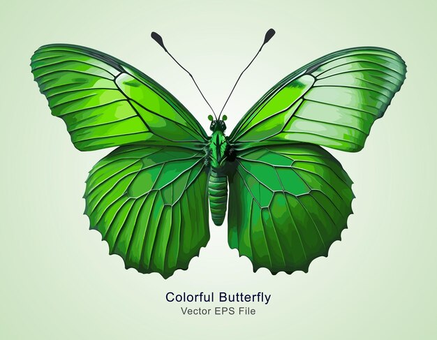 Vector green color natural butterfly collection set vector illustration art hand drawn wings sticker