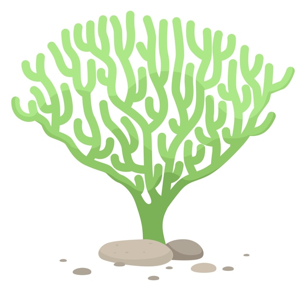 Vector green coral branching fingers cartoon underwater life