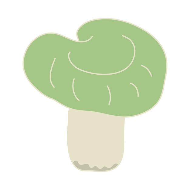 Green cup russula mushroom hand drawn color doodle vector illustration