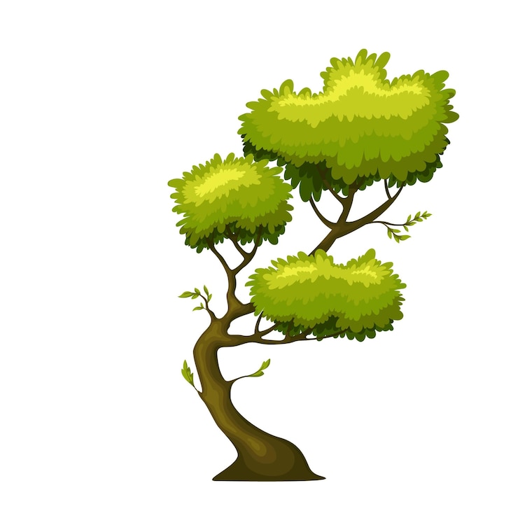 Vector green deciduous tree