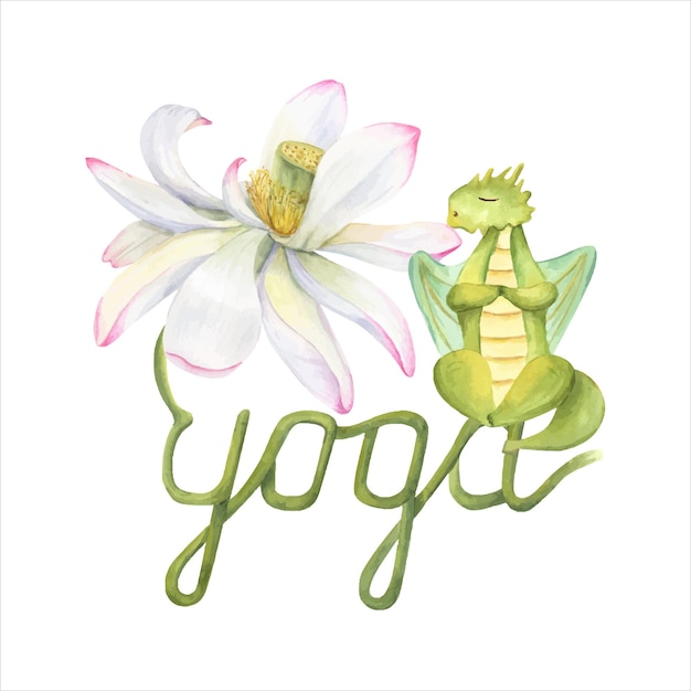 Green dragon meditating on lotus stem animal practicing fitness exercises realistic water lily flower and cartoon dragon stem curving into the word yoga watercolor illustration for yoga center