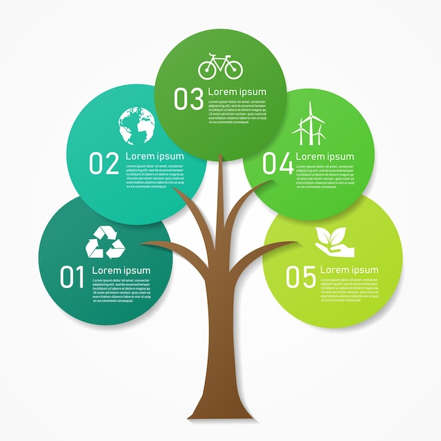 Vettore ecologia verde foglia infografica con sfondo icona elemento opzione.