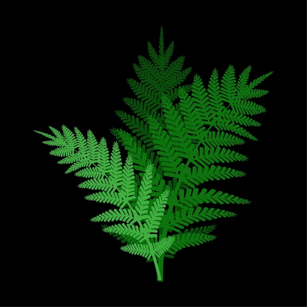 Green fern on a black background vector illustration