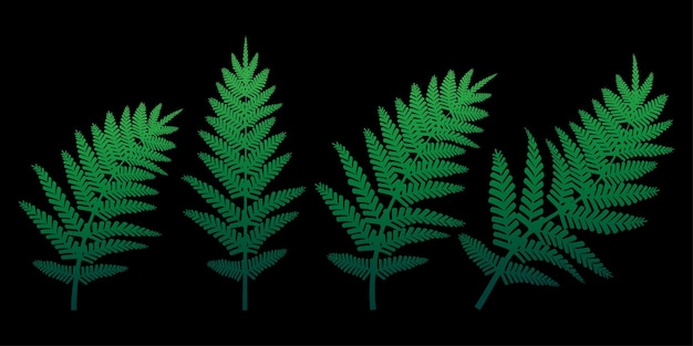 Green fern on a black background Vector illustration