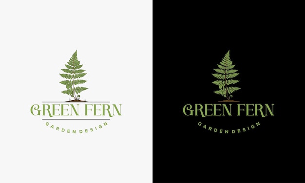 Green Fern logo icon design template vector Hand Drawn Fern garden Designs template vector