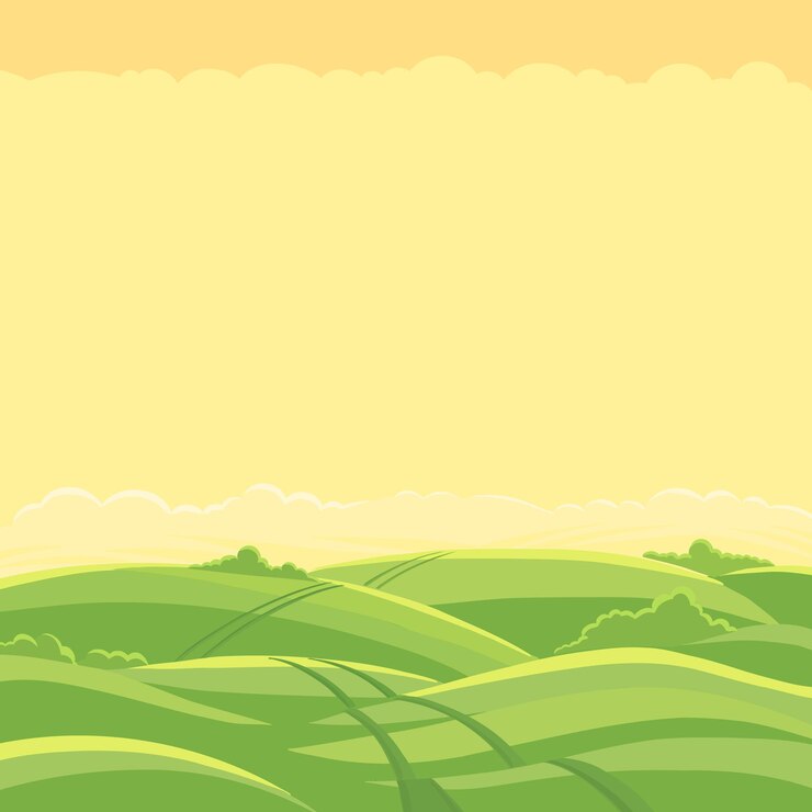 Green field landscape. Field track road.