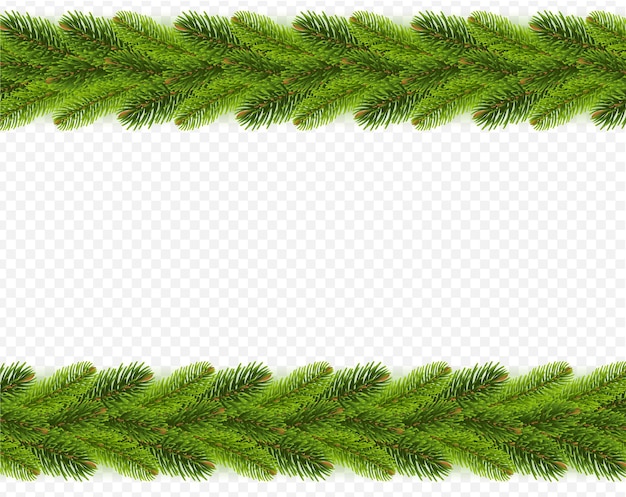 Green Fir Tree Branches Borders, Vector Illustration