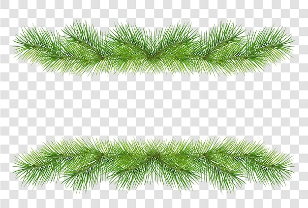 透明な背景に分離されたクリスマスの花輪の装飾のための緑のふわふわ松の枝。図