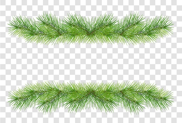 Green fluffy pine branches for christmas garland decoration isolated on transparent background. illustration