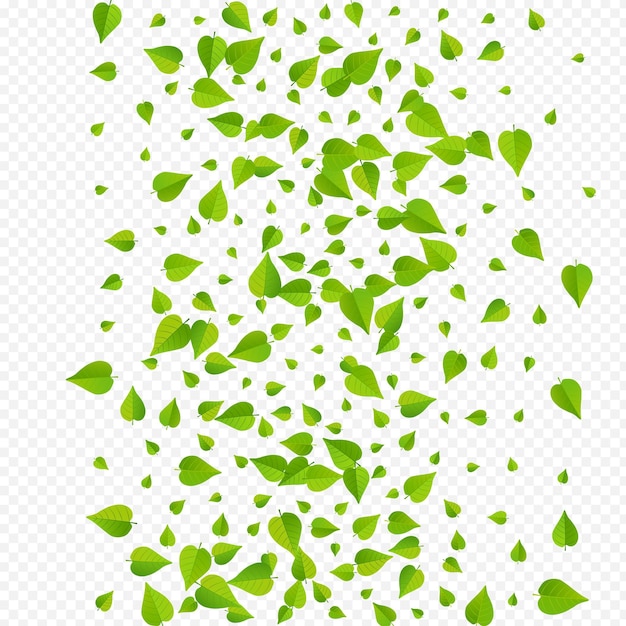 Green Foliage Tree Vector Transparent Background Poster. Herbal Greens Border. Lime Leaves Blur Template. Leaf Spring Branch.