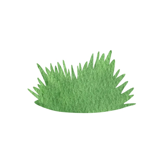 Green forest grass branch watercolor clipart Illustration of summer greenery