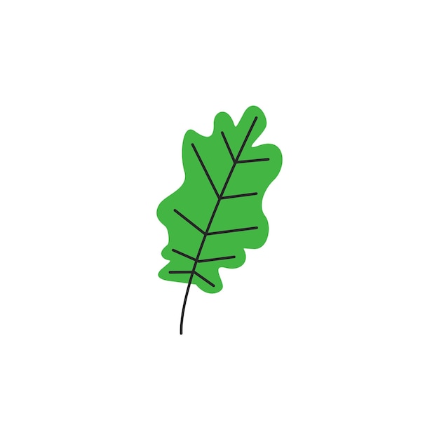 Vector green fresh autumn leaf with veins fall oak foliage season botanical item single oak leaf silhouette