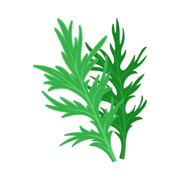 Green fresh leaves with deep cuts at the edges Vector illustration on a white background