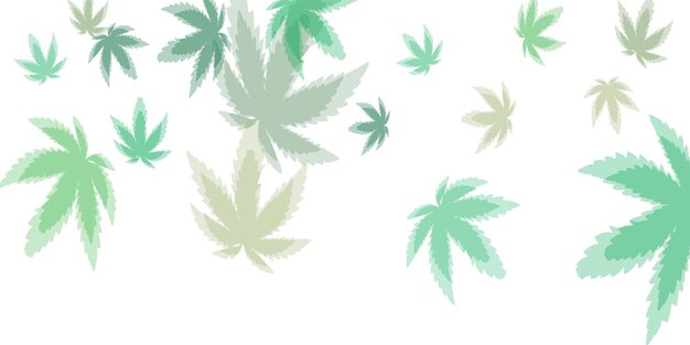 新鮮な緑茶の葉が白い背景に隔離されています