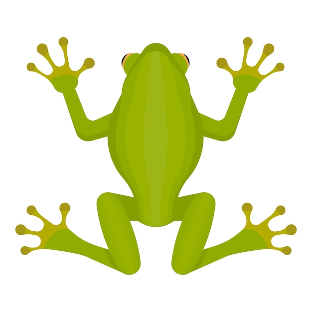 Green frog isolated on white background Vector illustration