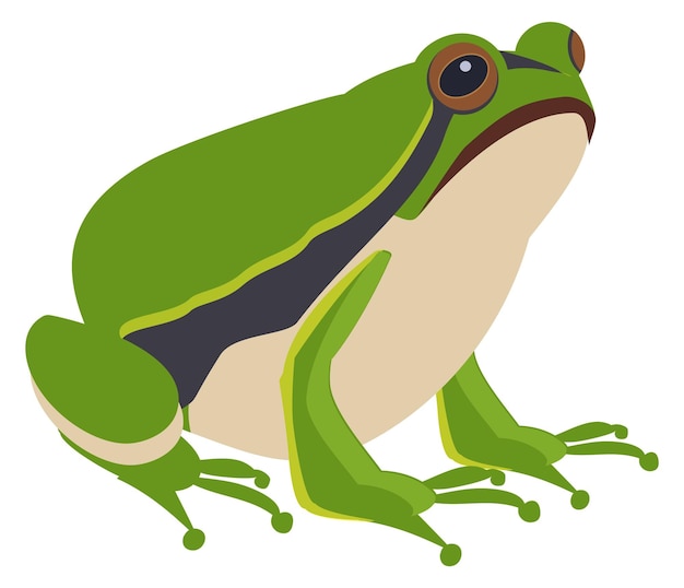 Vector green frog sitting amphibia wild animal icon