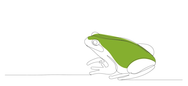 Disegno a tratteggio di rana verde su un vettore di sfondo bianco