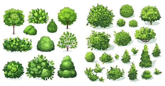 Vector green garden vegetation bushes icon