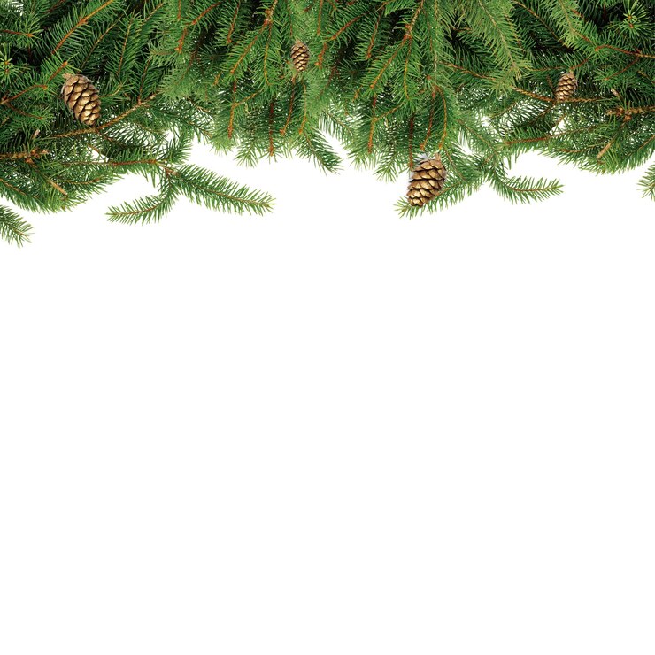 Vector green garland christmas floral frame