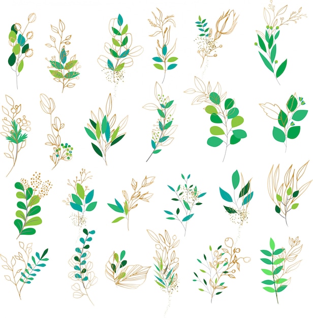 Vector green and golden leaves collection