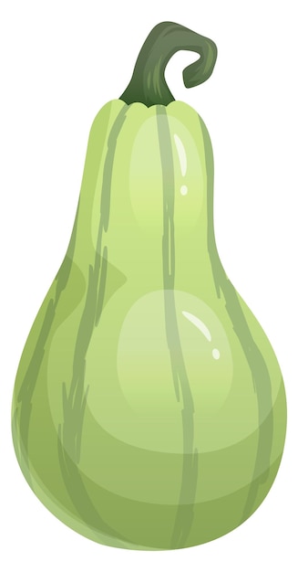 Premium Vector | Green gourd vegetable cartoon autumn harvest crop isolated  on white background