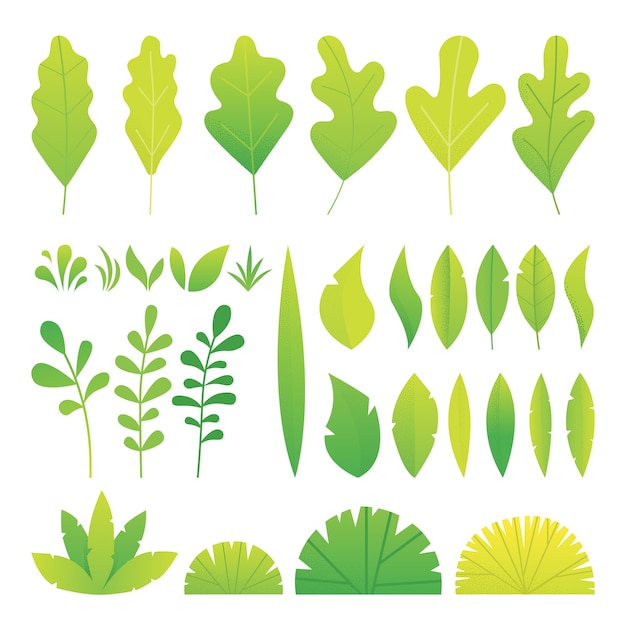 Vector green gradation color leaves wit noise gradient set.    illustration.