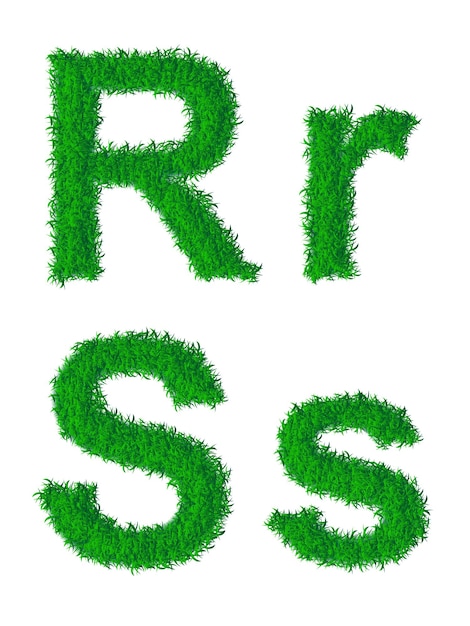 Green grass alphabet, big and small letters r, s