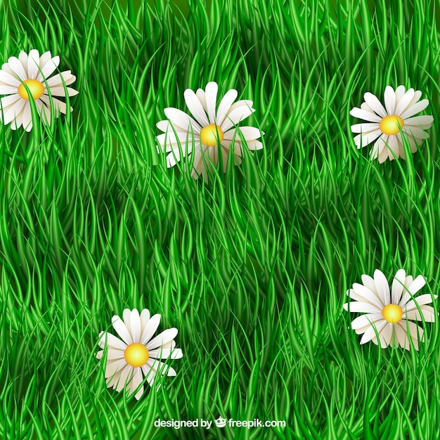 Вектор Зеленая трава и ромашки